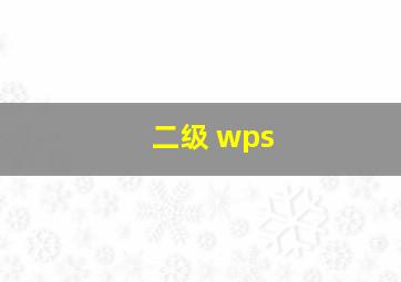 二级 wps